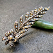 Lade das Bild in den Galerie-Viewer, Victorian Brosche min 750 Silber Perle alt antik c. 1890 S
