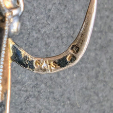 Lade das Bild in den Galerie-Viewer, Jugendstil Schmetterling Brosche Georg Adam Scheid GAS Silber Fensteremaille S
